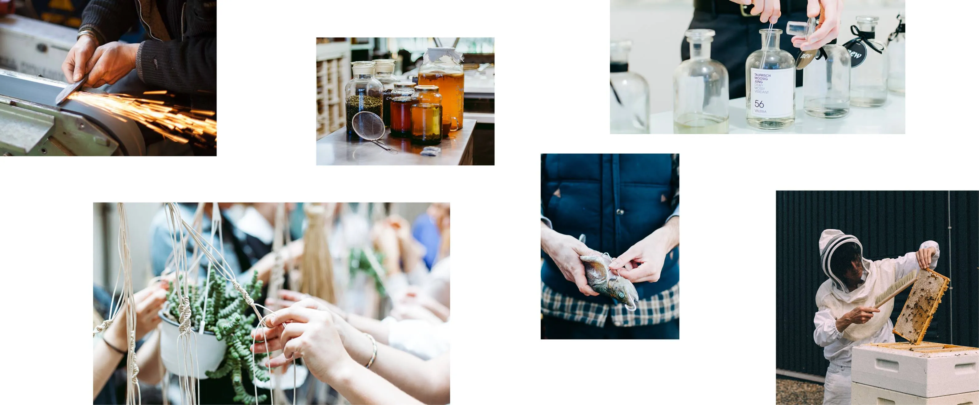 Collage of Photos from various workshops.