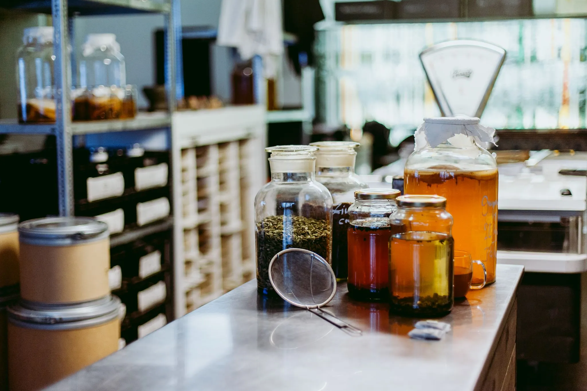 Kombucha in jars of various sizes on a counter.