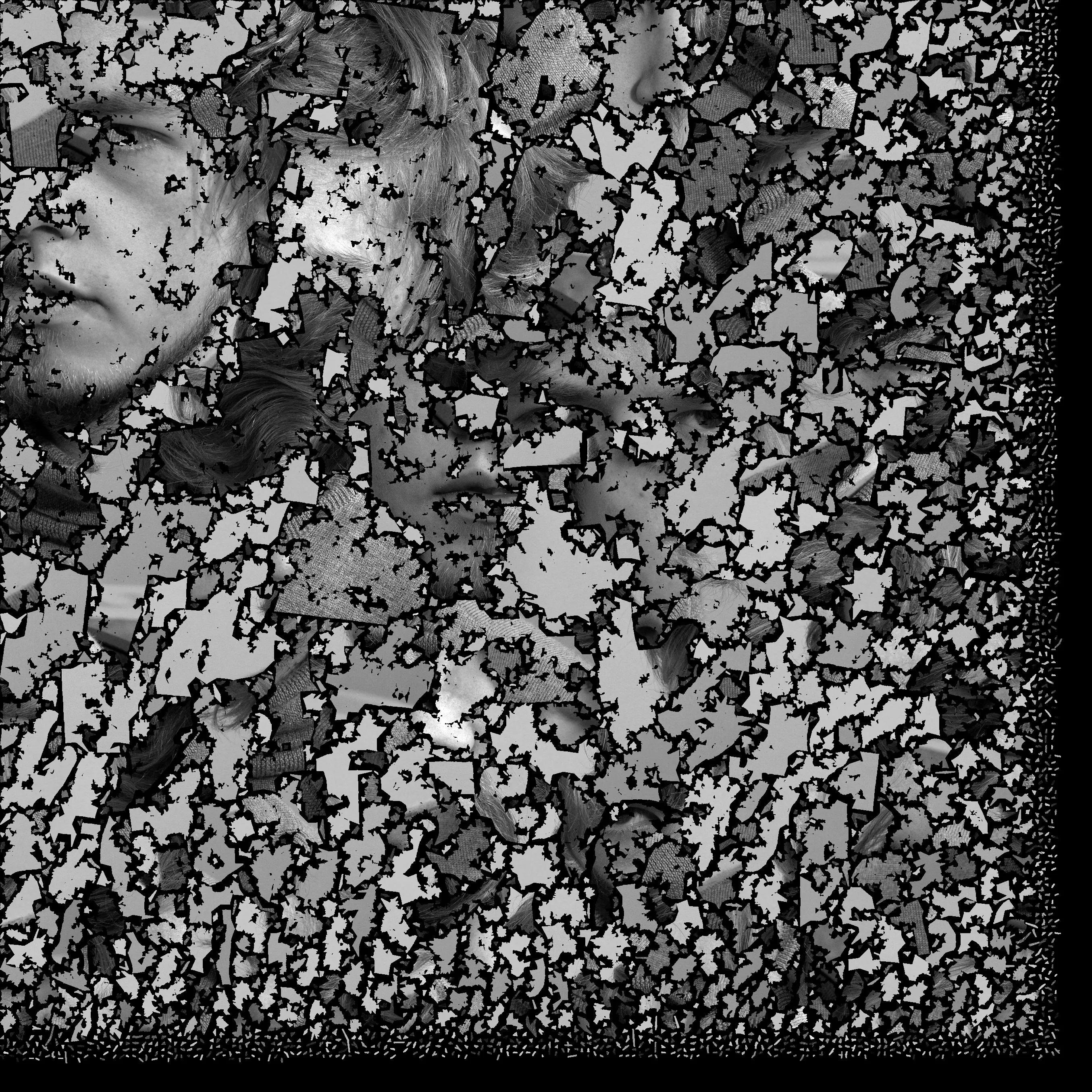 A grayscale texture map consisting of thousands of "pieces" of my face, each having a random jagged shape, but ordered very neatly and effecively. Many parts are barely identifiable as photo of a human, but the bigger pieces reveal the secret.