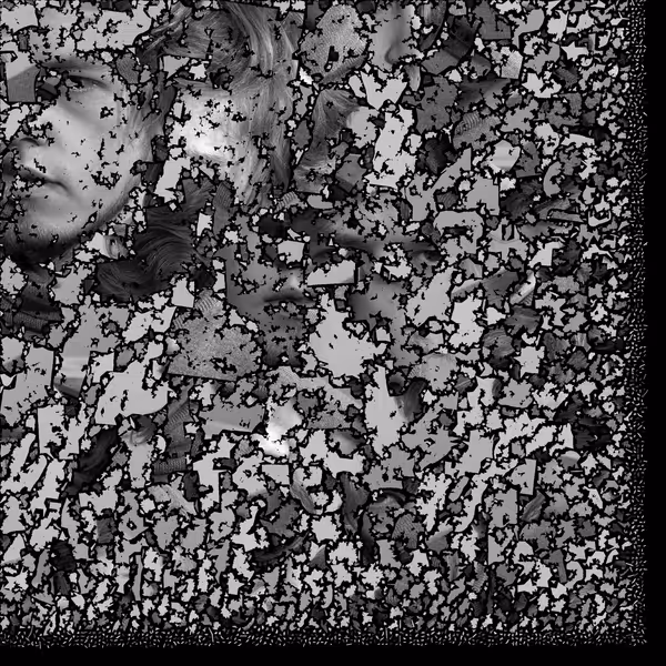 A grayscale texture map consisting of thousands of "pieces" of my face, each having a random jagged shape, but ordered very neatly and effecively. Many parts are barely identifiable as photo of a human, but the bigger pieces reveal the secret.