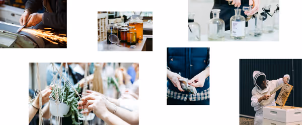 Collage of Photos from various workshops.
