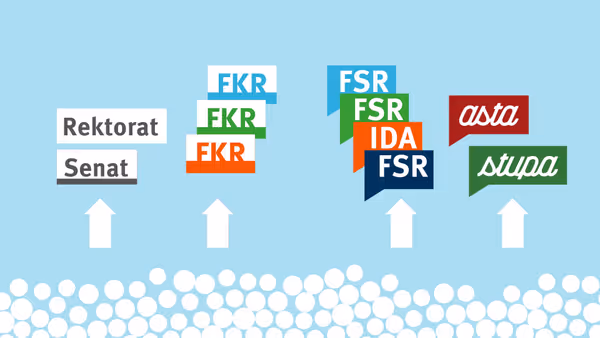 Die Studentischen Räte im Gesamtkonstrukt der Hochschulorganisation.